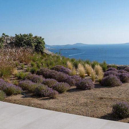Zelia B&B & Villa Mykonos Town Exterior foto