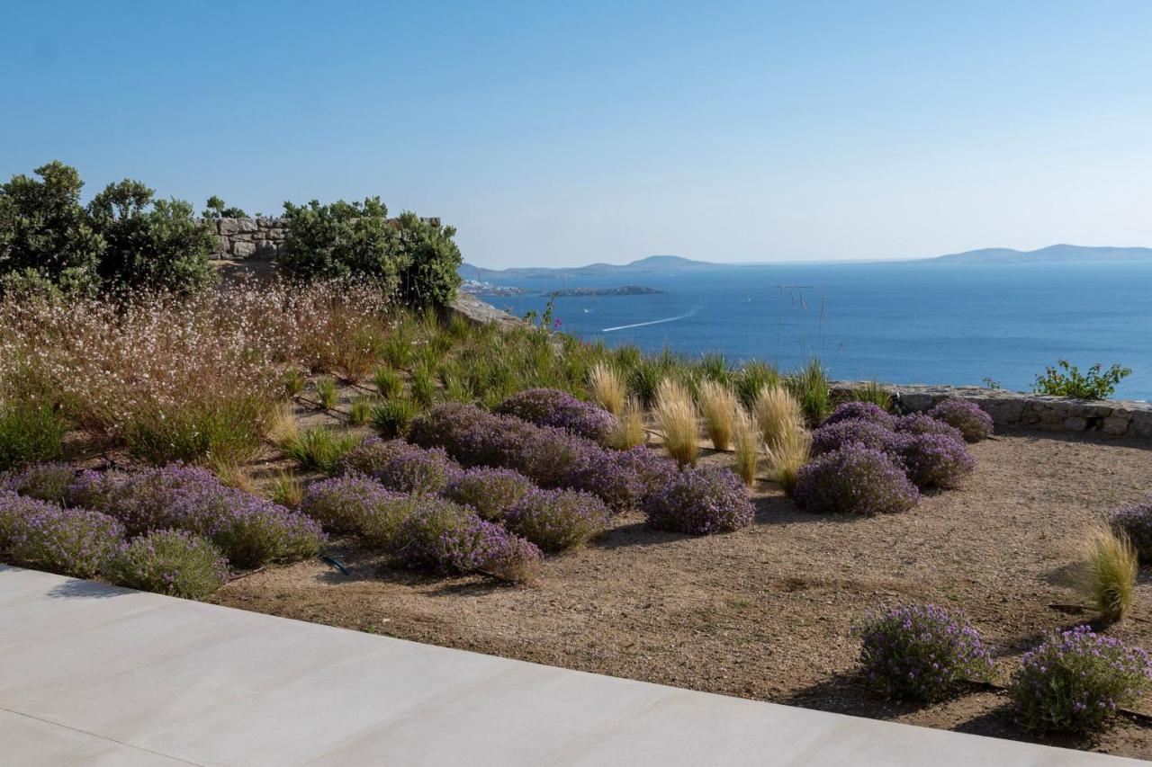 Zelia B&B & Villa Mykonos Town Exterior foto